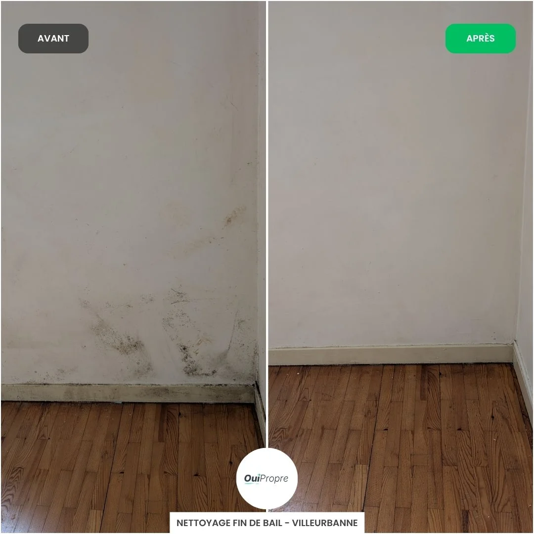 Nettoyage des murs appartement Villeurbanne