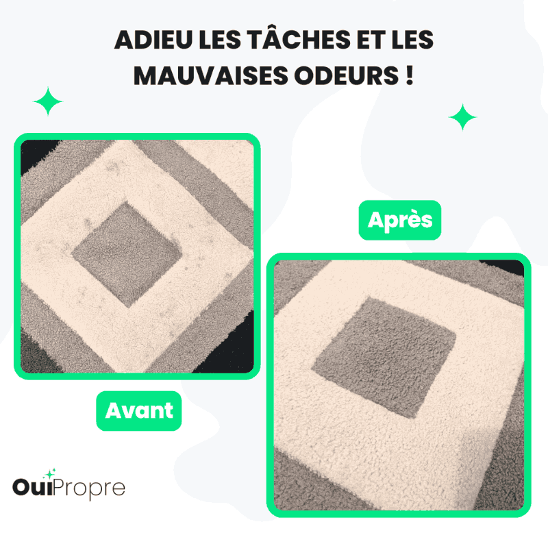 Avant Après Nettoyage Tapis Lyon